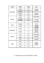 Paraugs 'Treniņu procesa gada plāns 15 gadus vecām handbolistēm 2009./2010.gada sezonai', 2.