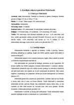 Konspekts 'Lietišķās etiķetes īpatnības Nīderlandē', 2.