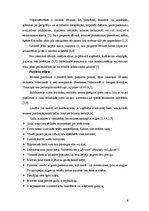 Konspekts 'Lietišķās etiķetes īpatnības Nīderlandē', 8.