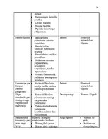 Referāts 'Intelektuālā īpašuma tiesības starptautiskajā tirdzniecībā', 14.