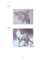 Referāts 'Ļaunie spēki latviešu folklorā', 28.