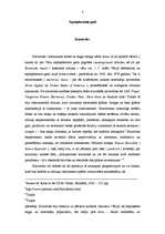 Referāts 'Trešās straumes attīstība latviešu mūzikā', 8.