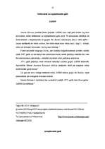 Referāts 'Trešās straumes attīstība latviešu mūzikā', 18.