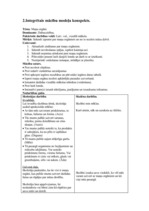 Prakses atskaite 'Aktīvā prakse integrētajā mācībā', 4.