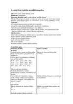 Prakses atskaite 'Aktīvā prakse integrētajā mācībā', 9.