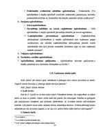 Prakses atskaite 'Prakses atskaite AS "Balta"', 24.