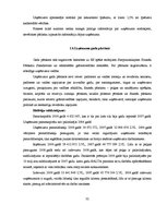 Prakses atskaite 'Prakses atskaite AS "Balta"', 32.