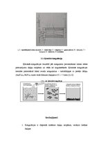 Referāts 'Dzeramā ūdens sagatavošana ar koagulācijas metodi', 8.