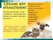 Prezentācija 'Projekts dzīvnieku patversmei', 12.