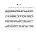 Referāts 'SIA "ULE" darbības analīze - iekšējā un ārējā vide', 3.