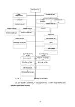 Referāts 'SIA "ULE" darbības analīze - iekšējā un ārējā vide', 13.