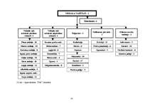 Referāts 'SIA "ULE" darbības analīze - iekšējā un ārējā vide', 14.