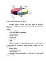 Referāts 'SIA "ULE" darbības analīze - iekšējā un ārējā vide', 26.