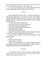 Referāts 'SIA "ULE" darbības analīze - iekšējā un ārējā vide', 28.