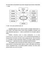 Referāts 'SIA "ULE" darbības analīze - iekšējā un ārējā vide', 29.
