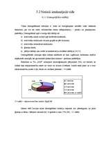 Referāts 'SIA "ULE" darbības analīze - iekšējā un ārējā vide', 30.