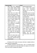 Referāts 'SIA "ULE" darbības analīze - iekšējā un ārējā vide', 36.