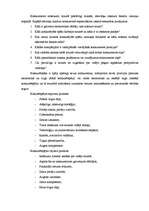 Referāts 'SIA "ULE" darbības analīze - iekšējā un ārējā vide', 49.