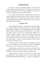 Referāts 'Lietišķā cilvēka vizuālā tēla, uzvedības kultūras nozīme veiksmīgas karjeras vei', 7.