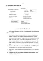 Diplomdarbs 'Kuģu tehniskais menedžments', 47.