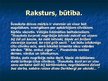 Prezentācija 'Švauksta būtības atklājums brāļu Kaudzīšu romānā', 4.