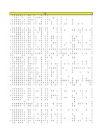 Referāts 'Rīgas rajona jauniešu vidū populārākie Latvijas uzņēmumi', 32.