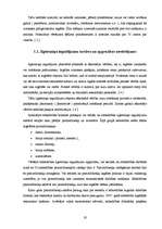 Prakses atskaite 'Prakses atskaite uzņēmumā "X" finanšu analīzē', 18.