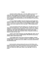 Eseja 'Personības pašraksturojums', 3.