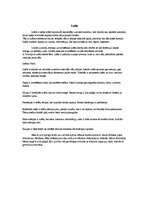 Eseja 'Personības pašraksturojums', 9.