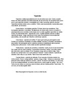 Eseja 'Personības pašraksturojums', 13.