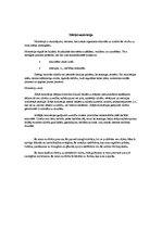 Eseja 'Personības pašraksturojums', 15.