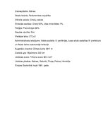 Referāts 'Kipras politiskā situācija', 16.