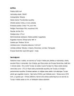 Referāts 'Kipras politiskā situācija', 17.