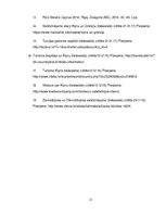 Referāts 'Kipras politiskā situācija', 21.