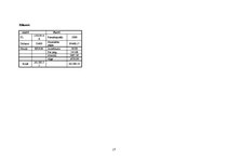 Biznesa plāns 'SIA "Stars"', 17.