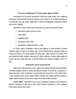 Referāts 'Konkurences priekšrocības un konkurētspēju analīze uzņēmumā Apple', 4.