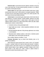 Referāts 'Konkurences priekšrocības un konkurētspēju analīze uzņēmumā Apple', 5.