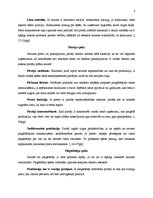 Referāts 'Konkurences priekšrocības un konkurētspēju analīze uzņēmumā Apple', 6.