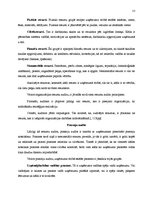 Referāts 'Konkurences priekšrocības un konkurētspēju analīze uzņēmumā Apple', 13.