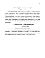 Referāts 'Konkurences priekšrocības un konkurētspēju analīze uzņēmumā Apple', 19.