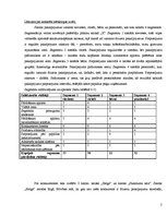 Referāts 'Mārketinga plāns par frizieru pakalpojumiem salonā "X"', 2.