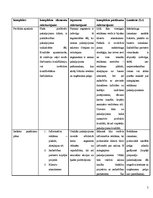 Referāts 'Mārketinga plāns par frizieru pakalpojumiem salonā "X"', 5.