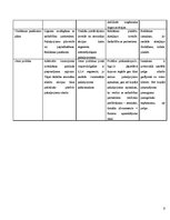 Referāts 'Mārketinga plāns par frizieru pakalpojumiem salonā "X"', 6.