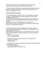 Referāts 'T5 kontroleksemplāra aizpildīšana, reģistrēšana un aprites kartība', 6.