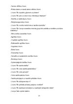 Referāts 'Cilvēktiesības', 15.