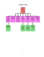 Biznesa plāns 'Biznesa plāns', 8.