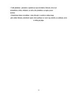 Biznesa plāns 'Biznesa plāns', 11.