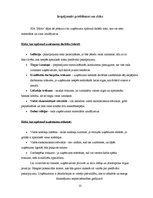 Biznesa plāns 'Biznesa plāns', 13.