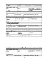 Biznesa plāns 'Biznesa plāns', 22.