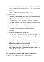 Referāts 'Pievienotās vērtības nodoklis Latvijā', 11.